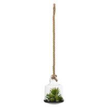 Planta suculenta artificial Vickerman, decoração de frasco de vidro de 25 cm
