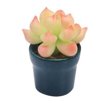 Planta suculenta em miniatura em vaso, escala 1:12 para casa de bonecas Planta suculenta em miniatura em vaso, escala 1:12 para casa de bonecas