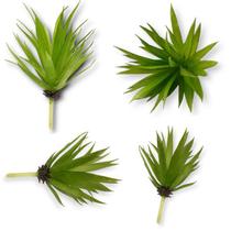Planta Suculenta Verde Artificial Ornamental 18cm Decoração 63220LX - QX Flores
