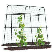 Planta trepadeira Treliça Lalahoni Metal Arch 163x60x163 cm Planta trepadeira Treliça Lalahoni Metal Arch 163x60x163 cm