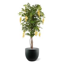 Planta Verde Artificial Com Flores Ácacia Amarela 1.55m