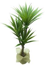 Planta Yucca Artificial Folhagem Real Suculenta 100cm