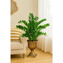 Planta Zamioculca Artificial Suculenta Verde 16 Galhos 80 cm