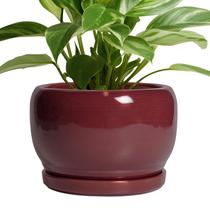 Plantador de cerâmica SQOWL 20 cm vermelho com orifício de drenagem e pires