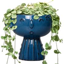 Plantador Fivepot de 15 cm de cerâmica de face azul com drenagem