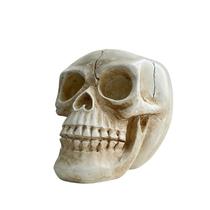 Plantador Flowerpot de resina de Halloween Skull Horror Head 800g Plantador Flowerpot de resina de Halloween Skull Horror Head 800g