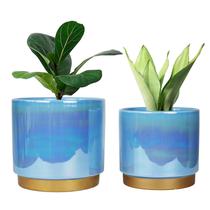 Plantador YFFSRJDJ Vasos de plantas de flores de cerâmica com orifício de drenagem Plantador YFFSRJDJ Vasos de plantas de flores de cerâmica com orifício de drenagem