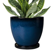 Plantadores de cerâmica EPFamily, vaso de 6 polegadas com pires azul Plantadores de cerâmica EPFamily, vaso de 6 polegadas com pires azul