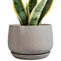 Plantadores de cerâmica G EPGardening 18 cm cinza com orifícios de drenagem Plantadores de cerâmica G EPGardening 18 cm cinza com orifícios de drenagem