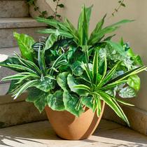Plantas Artificiais Cherica 9 Peças Resistentes a UV para Decoração Externa Plantas Artificiais Cherica 9 Peças Resistentes a UV para Decoração Externa