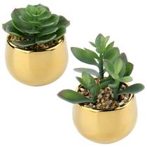 Plantas artificiais: pequenas suculentas artificiais com vasos dourados x2 Plantas artificiais: pequenas suculentas artificiais com vasos dourados x2