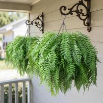 Plantas Artificiais Suspensas FancyPlus Resistentes a UV 40 cm Conjunto com 2 Plantas Artificiais Suspensas FancyPlus Resistentes a UV 40 cm Conjunto com 2