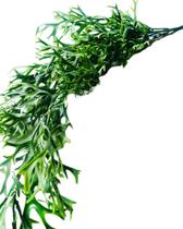 Plantas Artificial Pendente Chifre de Veado 25x75cm Plantas Artificial Pendente Chifre de Veado 25x75cm