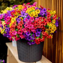 Plantas Artificiales AXYLEX 16 Ramilletes Resistentes a UV para Exterior