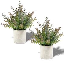 Plantas Artificiales de Eucalipto Coferset 2 Paquetes 24 cm Morado Plantas Artificiales de Eucalipto Coferset 2 Paquetes 24 cm Morado