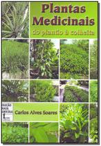 Plantas medicinais - do plantio a colheita