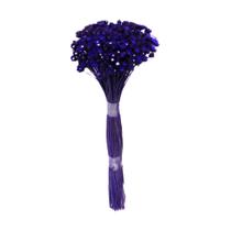 Plantas Seca Botão Margarida Desidratado Roxo Plantas Seca Botão Margarida Desidratado Roxo