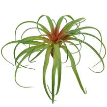 Plantas suculentas artificiais de aloe Agusbagli para casamento em casa