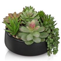 Plantas Suculentas Artificiales DILATATA en Maceta de Cerámica Negra