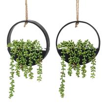 Plantas suculentas suspensas artificiais CEWOR com cordão x2