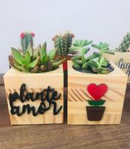 PLANTE AMOR / Cachepô em Marchetaria para mini plantas Cactos e Suculentas.
