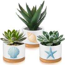 Planter Jingmore Coastal Decor Ceramic com bandeja de bambu (3 unidades)