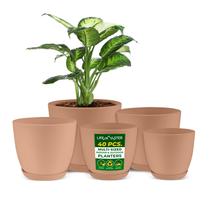 Planter Pots Lifemaster, leve e durável, conjunto de 20 rosas