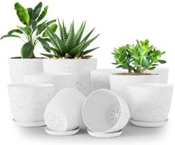 Planter Utopia Home Indoor Plastic com drenagem, pacote de 10