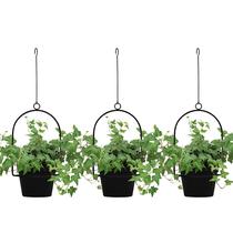 Planters Gardzen, pacote com 3, pendurado em 15 cm, interno e externo, preto Planters Gardzen, pacote com 3, pendurado em 15 cm, interno e externo, preto