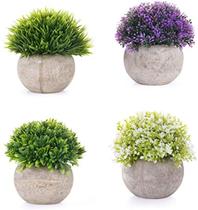 Plantinha decoração