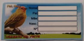 Plaqueta de Identificação - Canário da terra