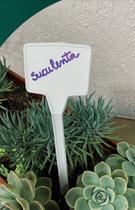 Plaquinha Placa de Identificação de Canteiro 30 cm caixa com 1000 unidades