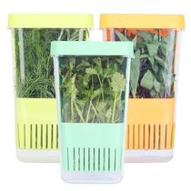 Plástico Herb Keeper LUVCOSY sem BPA com cesta interna, pacote com 3 Plástico Herb Keeper LUVCOSY sem BPA com cesta interna, pacote com 3