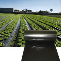 Plastico mulching preto e preto 1,80 X 500 M negreira