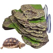Plataforma de basking Ramp kathson Turtle 18x16x7 cm verde Plataforma de basking Ramp kathson Turtle 18x16x7 cm verde