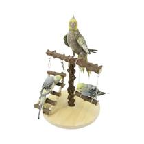 Plataforma De Escalada Para Papagaio De Madeira Escada Rede De Treinamento Brinquedo Para Pássaros Plataforma De Escalada Para Papagaio De Madeira Escada Rede De Treinamento Brinquedo Para Pássaros