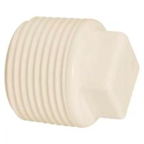 Plug Branco Amanco Rosca 1''