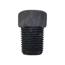 Plug em Aço Caborno 1/8" Macho 12NPS Hexagonal