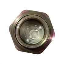 Plug Latão c/ Visor Líquido 94-20 GLS01120