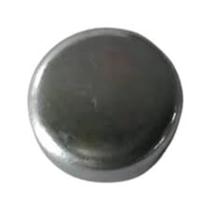 Plugue - Case 16988301 Plugue - Case 16988301