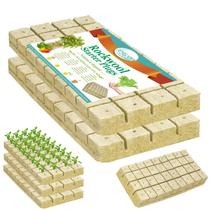 Plugues Rockwool Cubes Legigo de 1,2 cm Seed Starter Hydroponics 216 Plugues Rockwool Cubes Legigo de 1,2 cm Seed Starter Hydroponics 216