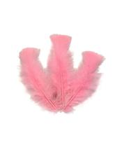 PLUMA CORES 10CM C/50 UNIDADES - Decoração para Festas