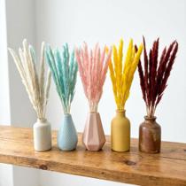 Pluma De Capim Dos Pampas Natural Colorida 30cm Conjunto 35 Peças Enfeite Centro De Mesa Escritório