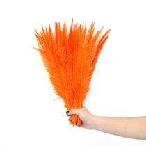 Plumas De Avestruz Aparada P/ Decorações de Eventos 100g