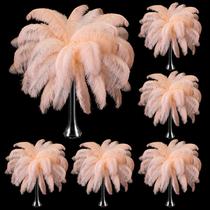 Plumas de Avestruz Berlune 150 Piezas Naturales 30-35 cm Champagne