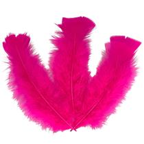 Plumas e Penas Coloridas 200 uni Pink