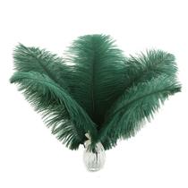 Plumas Grandes de Avestruz Ballinger Verde Negruzco 30-35 cm 24 pzas