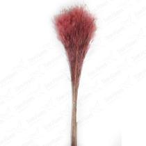 Pluminha Flor Desidratada Variações Natural