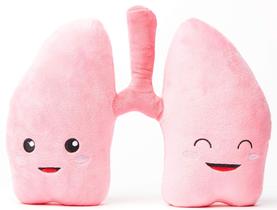 Plush Lung nerdbugs Lung Plush We Be-Lung Together!