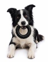 Pneu Brinquedo Off Road Pvc Flex borracha Preto G Still Pet